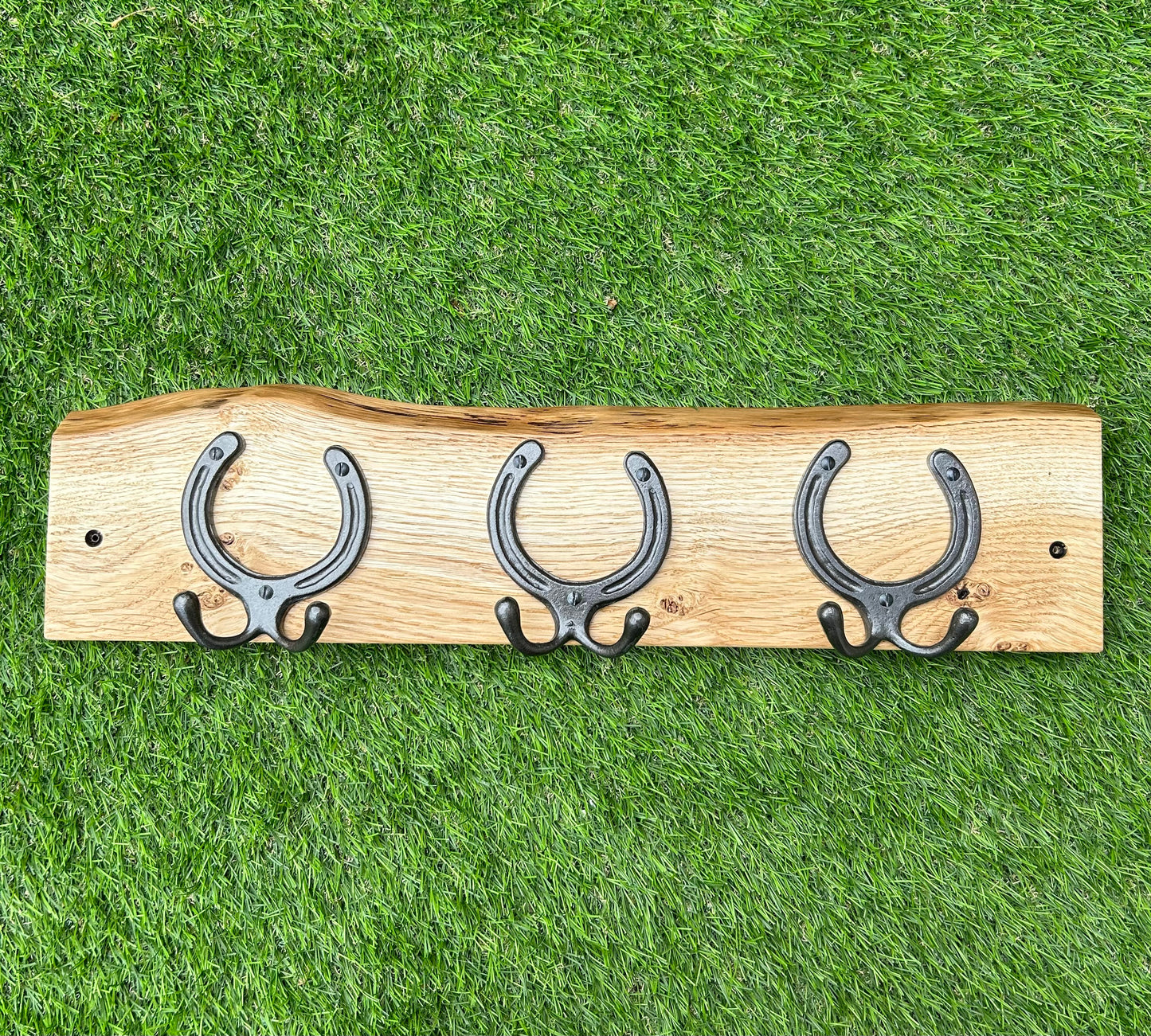 Horseshoe Coat Hook