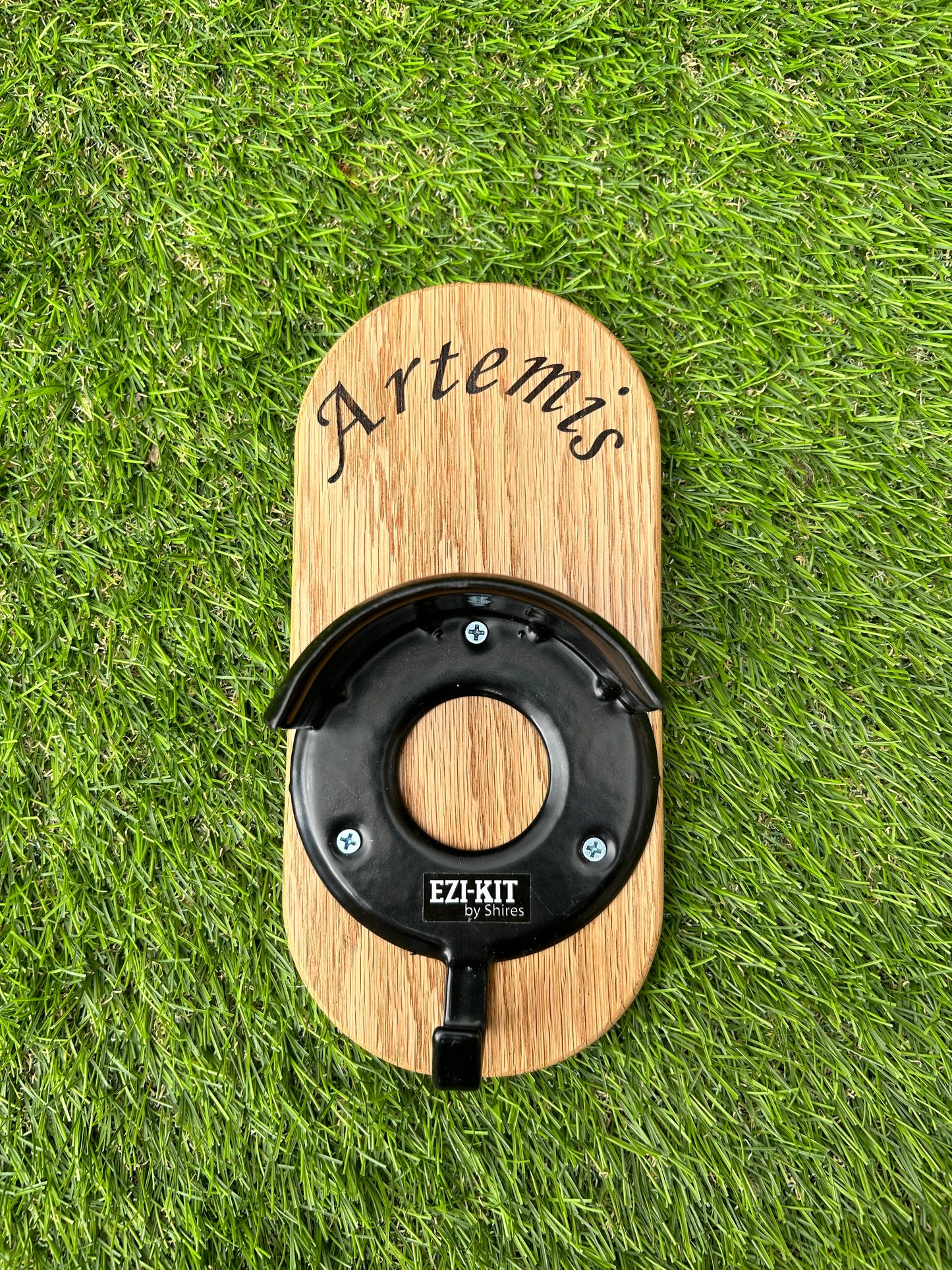 Custom Bridle Holder